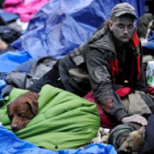 Protester with dogs in sleeping area in Zucotti Park during the Occupy Wall Street demonstrations, NYC