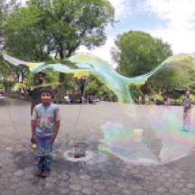 Young boy looking inside giant soap bubble, Central Park, NYC.